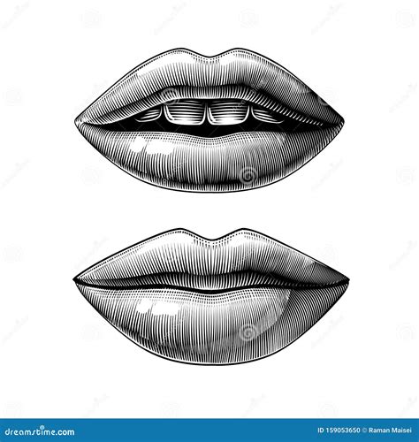 Open and Closed Female Mouth Stock Vector - Illustration of conceptual ...