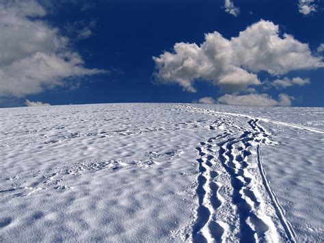 Fotos Gratis Paisaje Monta A Fr O Invierno Ligero Nube Cielo