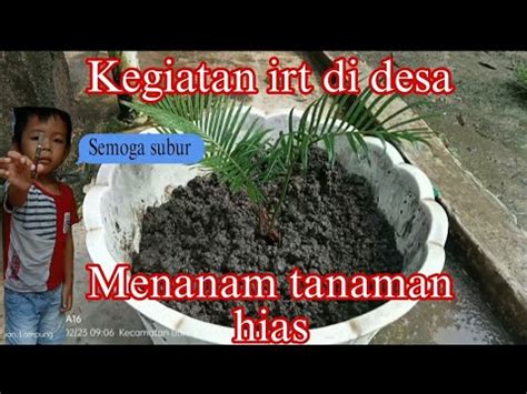 KEGIATAN IRT DI DESA MENANAM TANAMAN HIAS Daily Vlog Bertiyana