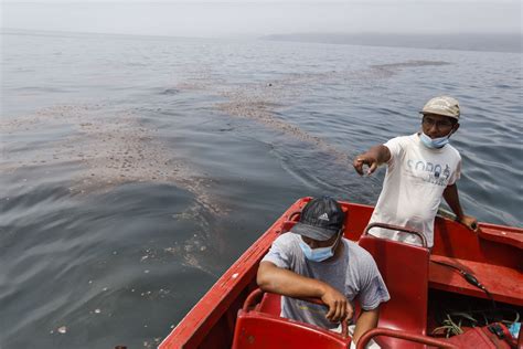 El Desastre Ambiental Que Pagan Pescadores Trabajadores Y Voluntarios