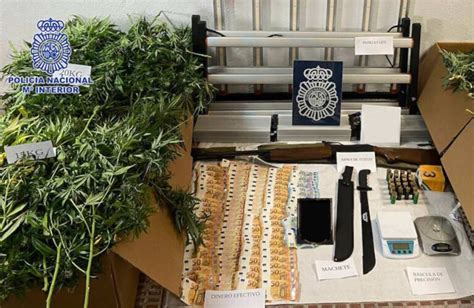 Desarticulan Un Clan Que Traficaba Con Marihuana En Escalona Toledo