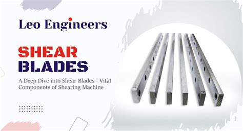 Comprehensive Guide On Shear Blades Significance And Types