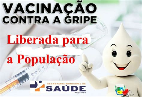 Vacina Da Gripe Est Liberada Para Popula O Prefeitura Municipal De