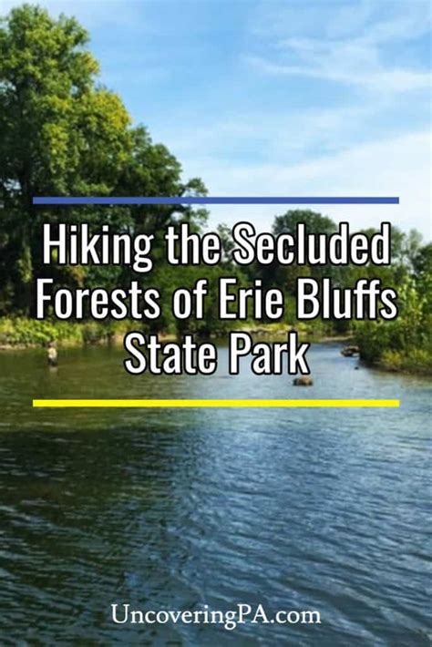 Hiking the Secluded Forests of Erie Bluffs State Park - UncoveringPA