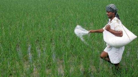 Fertiliser Subsidy May Exceed Revised Estimates By ₹10k Cr Today News