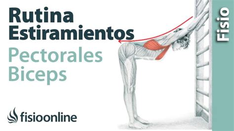 Mejora Tu Flexibilidad Con Estos Estiramientos De Pecho B Ceps Y Antebrazo