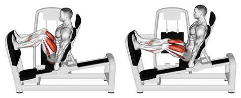 Presse Cuisses Ou Leg Press Ex Cution Conseils Et Variantes