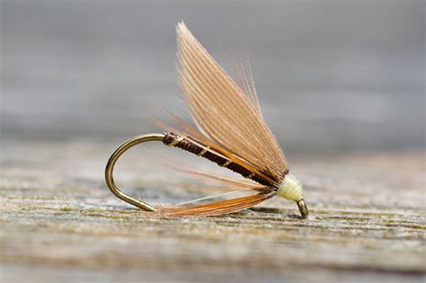 6 Wet flies recommended for August fishing