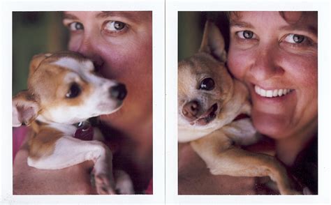 Girl And Two Small Dogs Hazel Basil Sweet Snuggly And Cl Flickr