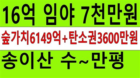 7천만원 수~만평 송이산 싼임야 차진입가 숲가치6149억원 탄소권3600만원 산림경영 자연인 땅과함께새희망을경매임야공매임야