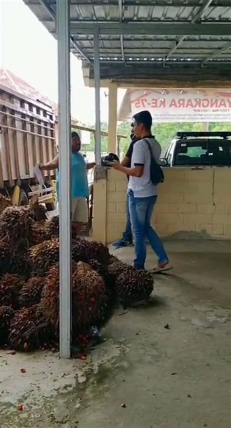 Didampingi Pengacara Korban Dugaan Pencurian Buah Kelapa Sawit Membuat