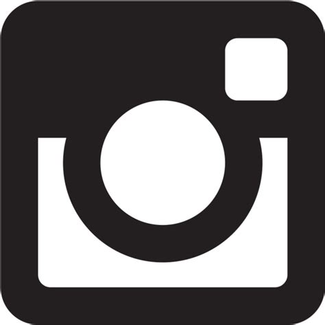 New Instagram Logo Icon Vector