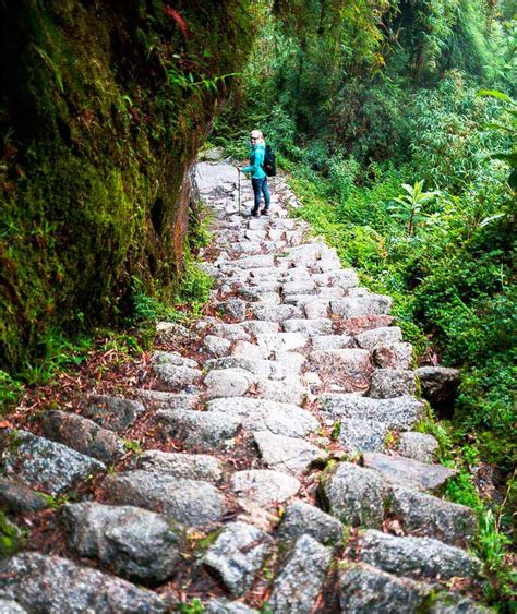 Camino Inca A Machu Picchu Tour De 4 Dias Precios De Oferta