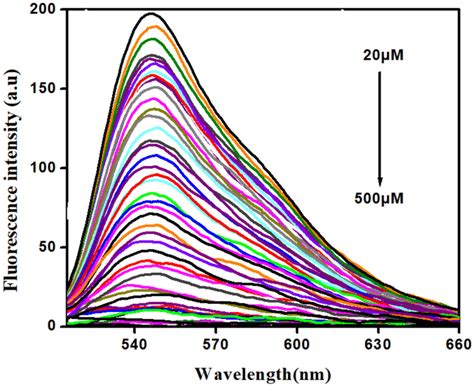 Fluorescence Spectra Of Probe M Upon Addition Of Pa M In