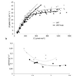 Photosynthetic Assimilation Rate And Stomatal Conductance In Micro Tom