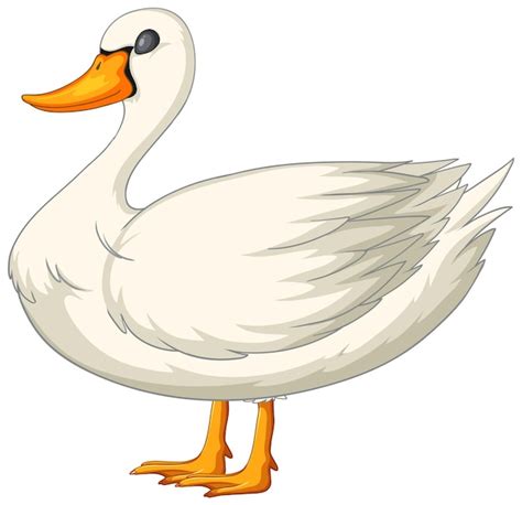 Free Vector Graceful White Duck Vector Illustration