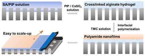 Membranes Free Full Text Alginate Hydrogel Assisted Controllable