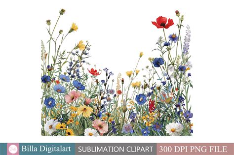 Free Wild Flowers Floral Border Clipart Graphic by BillaDigitalart ...