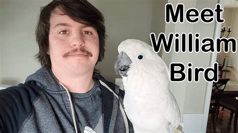 Meet William Bird Youtube