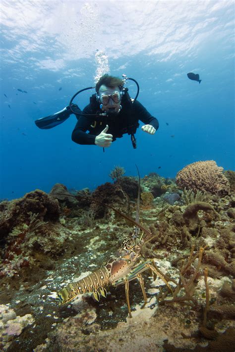 Four Safety Tips For Scuba Divers Mischa Peleg