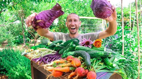 Incredible Backyard Gardening Harvest Sustainable Food Forest Garden