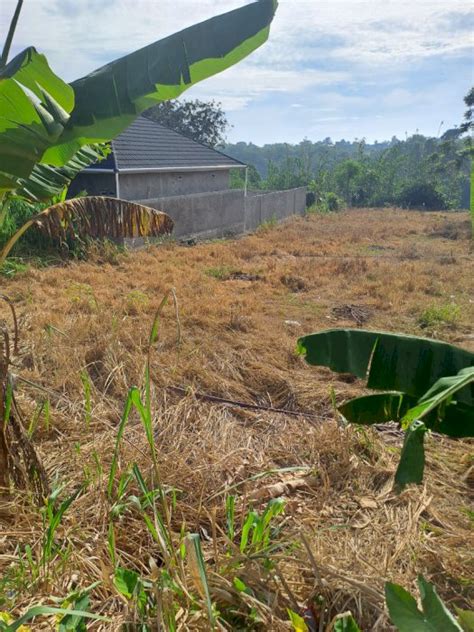 Di Jual Tanah Ciaruten Ilir Cibungbulang Bogor Depan Prasti Idrumah