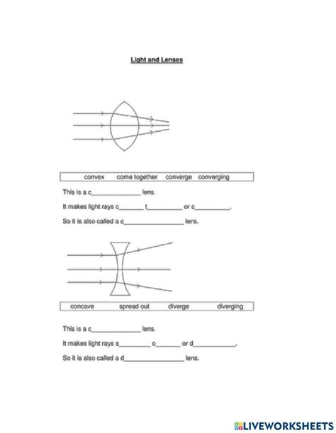 Concave And Convex Lens Online Exercise For Live Worksheets Worksheets Library