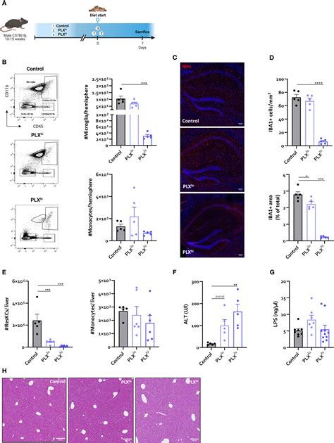 Frontiers Limitations Of Plx As A Microglial Investigational Tool