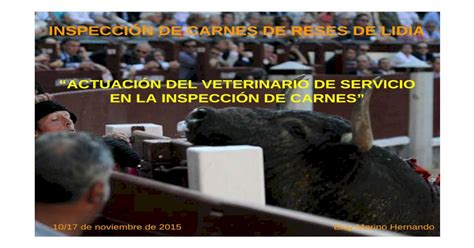 Actuación Veterinario Servicio Inspección Carnes Modo de