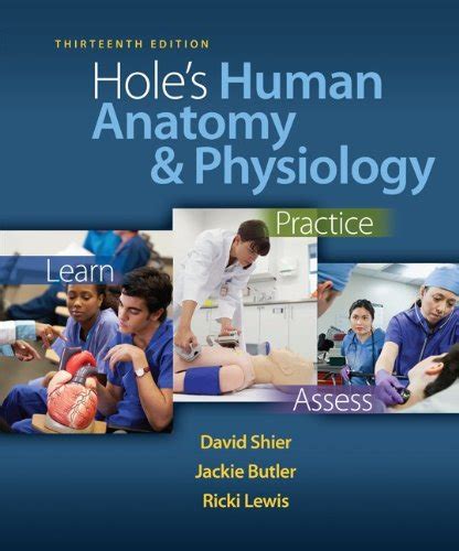 Amazon Co Jp Hole S Human Anatomy Physiology Connect Plus With