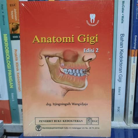 Original Anatomi Gigi Edisi Lazada Indonesia