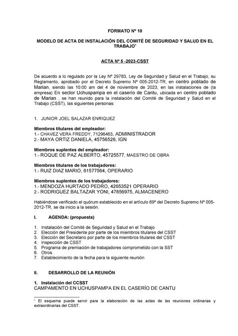 Formato 10 Acta De Instalacion De Comite Formato Nº 10 Modelo De