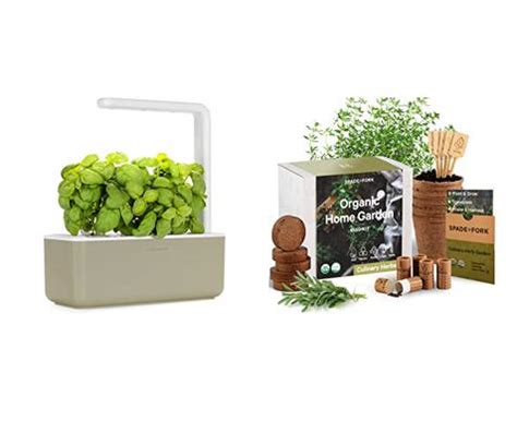 Best Herb Garden Kits Better Top Ten