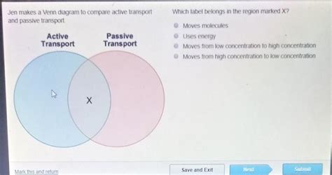 Active Transport Vs Passive Transport Venn Diagram