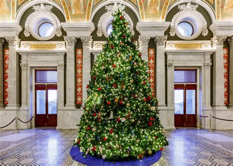 DC Christmas Trees, Ranked | Washingtonian (DC)