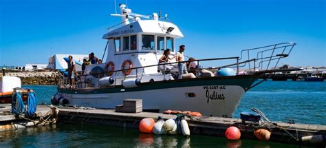 Peniche Cruceros Y Tours En Barco Lo Mejor De Cancelaci N