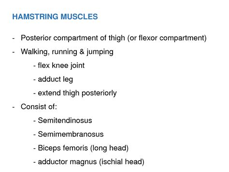 Solution Hamstring Muscles Popliteal Fossa Studypool