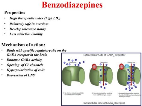 Benzodiazepine Mechanism Of Action : Benzodiazepines Mechanism of Action Andpharmacology ...