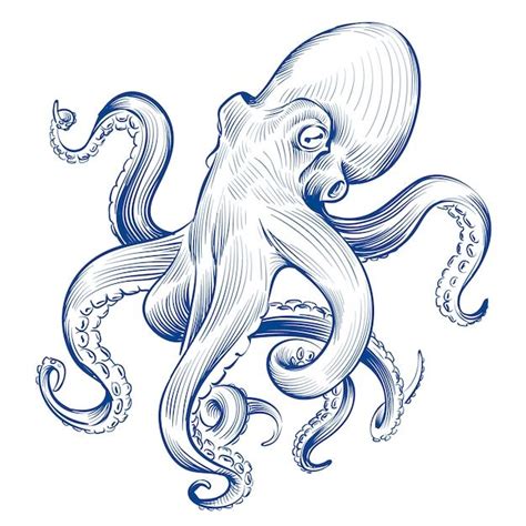 Premium Vector Vintage Octopus Hand Drawn Squid Engraved Ocean