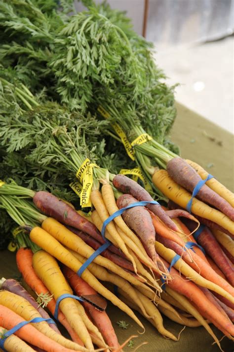 Bundles Of Carrots Free Image Peakpx