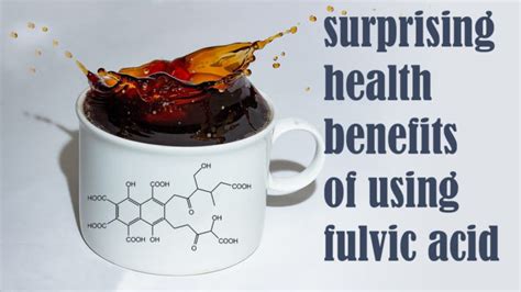 Fulvic acid benefits - What are the most surprising health benefits of ...