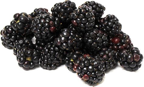 Organic Blackberries Information And Facts