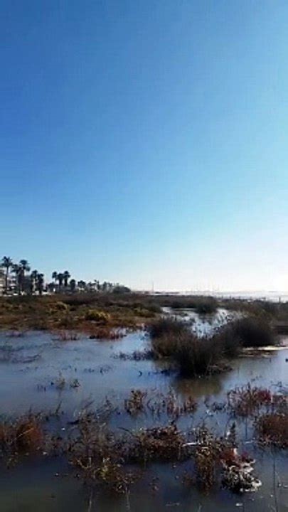 Estado De La Playa De Castelldefels Tras El Paso De La Borrasca Aline