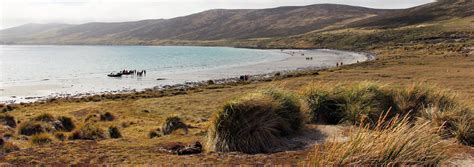 Falkland Islands Tours & Trips | Exodus Adventure Travels