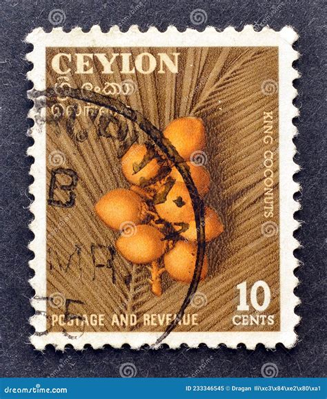 Cancelled Postage Stamp Printed By Ceylon That Shows King Coconuts