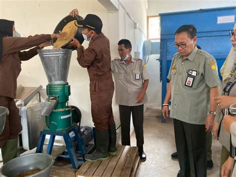 Bagian Dari Teaching Factory Polbangtan Kementan Resmikan Pabrik Pakan