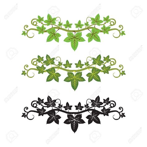 Ivy Leaf Vector at GetDrawings | Free download