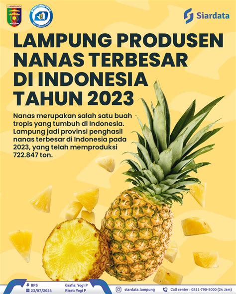 Lampung Produsen Nanas Terbesar Di Indonesia Tahun 2023 DISKOMINFOTIK