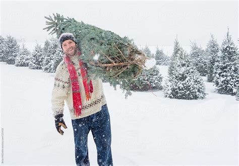 Man Climbing Out Of Christmas Tree