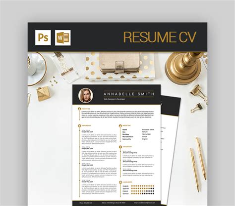 25 Attractive Eye Catching Resume CV Templates With Stylish Aesthetics